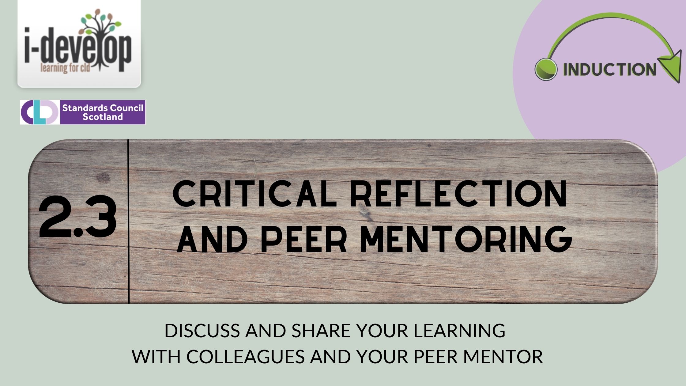 critical reflection intro image