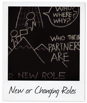 New and changing roles polaroid